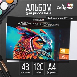 Альбом для рисования А4, 48 листов на склейке Calligrata TOP, обложка мелованный картон, выборочный УФ-лак, блок офсет 120 г/м²