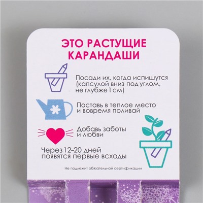 Набор для выращивания, карандаши подарочные «Лаванда + Сирень», , mini, простые чернографитные, 2 шт.