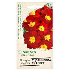 Семена цветов Примула «Даниелла скарлет», F1, 5 шт.