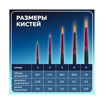 Кисти BRAUBERG PREMIUM, набор 5шт. (синтетика, круглая  №1,2,3,4,5), блистер, 201025