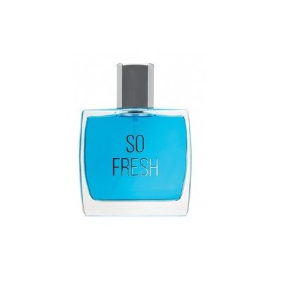 DILIS SO FRESH men 100 мл edt