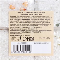 Соляной брикет набор 4 шт "Апельсин, липа, сосна, ель" по 200 гр "Добропаровъ"