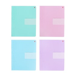 Тетрадь 24л кл ZEFIR COLORS, МИКС
