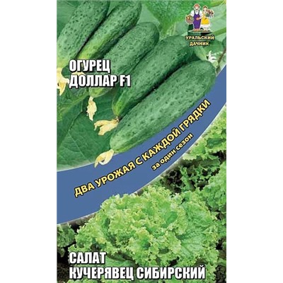 Семена Семена Огурец Доллар F1 + Салат Кучерявец Сибирский, арт.: 15836