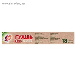 Гуашь 18 цветов × 15 мл ZOO, блок-тара