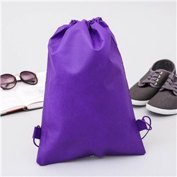 Мешок для обуви «Самая классная» 41×30 см, непромокаемое полотно