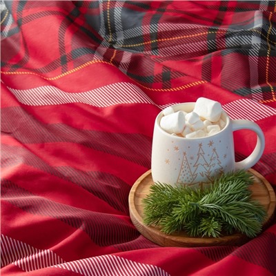 Постельное бельё "Этель" 2 сп Scottish holidays 175х215 см, 200х220 см,70х70 см -2 шт,бязь 125 г/м2