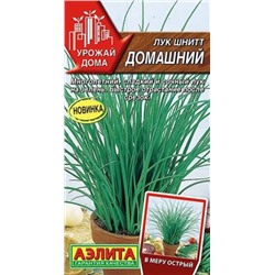 Лук шнитт Домашний