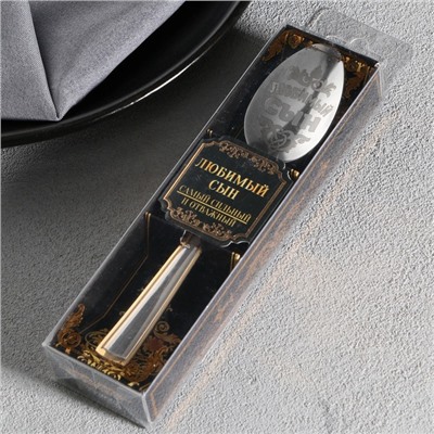 Ложка чайная с гравировкой «Любимый сын», в подарочной коробке, 3×14 см