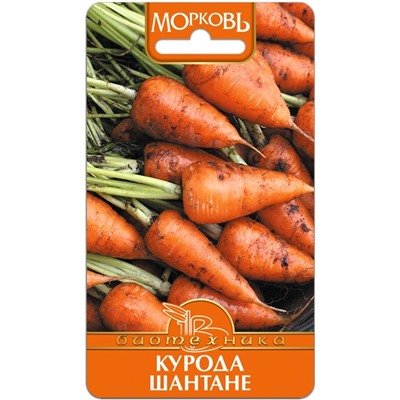 Морковь Курода Шантане