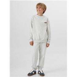 КОМПЛЕКТ ДЛЯ МАЛЬЧИКОВ (СВИТШОТ, БРЮКИ) 393335