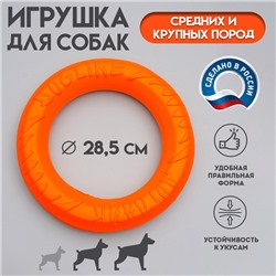 Кольцо "ДогЛайк" D-2612,  8-мигранное, среднее ⌀ 28,5см