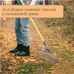 Грабли веерные, пластинчатые, 22 зубца, оцинкованная сталь, тулейка 30 мм, без черенка