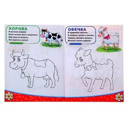 Раскраска детская «Домашние животные», 12 стр.