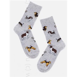 Носки женские 21С4200 158 Брестские Pets Conte [6шт] Дроп