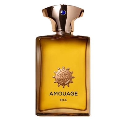 Amouage Dia Man edp for men 100 ml