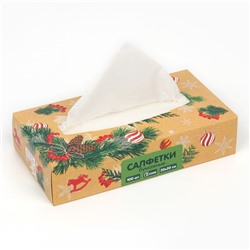 Салфетки бумажные в коробке «Новый год! Зимний уют», 100 шт., двухслойные