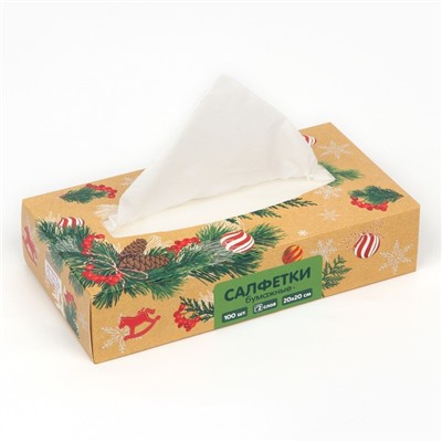 Салфетки бумажные в коробке «Новый год! Зимний уют», 100 шт., двухслойные