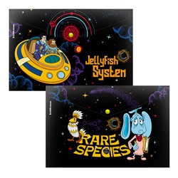 Папка-конверт на кнопке A4 ErichKrause Тайна третьей планеты пластик ассорти 61153/Россия