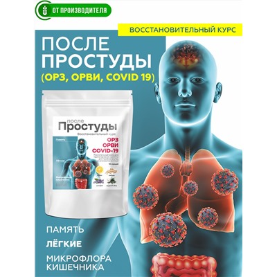 "После простуды" сухой напиток для разведения 7 г х 14 саше / Сибирская клетчатка
