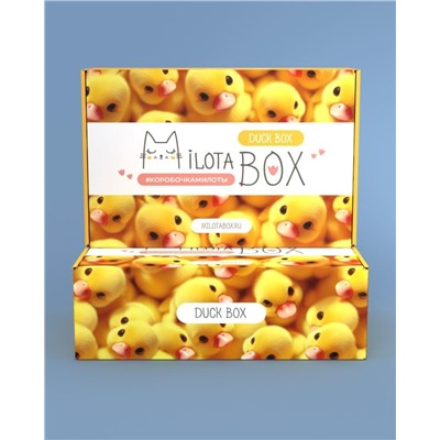 MilotaBox "Duck Box"