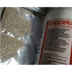TEPPEKI-profi (Теппеки), 2гр