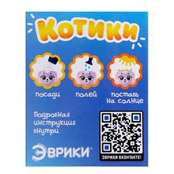 Набор для опытов, для детей «Котики. Выращиваем травку», растение в фиолетовом горшочке