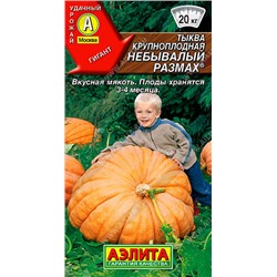 0914 Тыква крупноплодная Небывалый размах 2гр