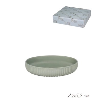 105-880 Форма (тарелка) круглая 24х5,5 см. в под.уп.(х16)