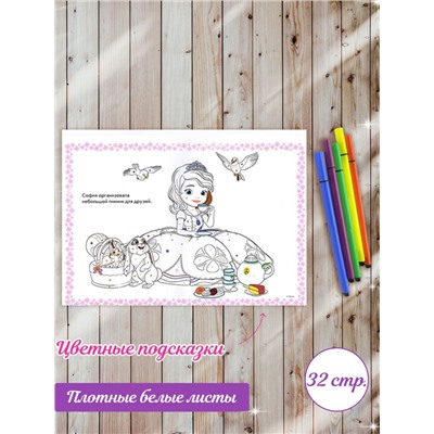 Комплект Раскраски с фломастерами София прекрасная W0109