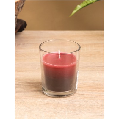 Свеча ароматическая Candle ВЕЗЕНИЕ, 100 г, МИКС аромата,
