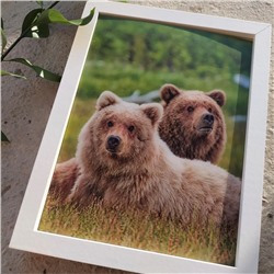 3Д картинка "Два медведя на траве" 14,5 х 19,5 см х М-0012, голографическая открытка с изображением медведей, без рамки