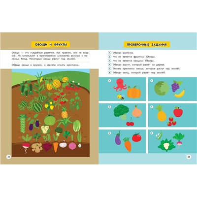 Эдже Эмине Чакуди. Изучаю мир вокруг: для детей от 5 лет