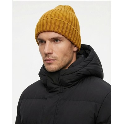 Шапка Молодежная Топ497