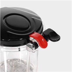 Заварочный чайник Magistro «Мантана», 750 мл, пластиковое сито, стекло