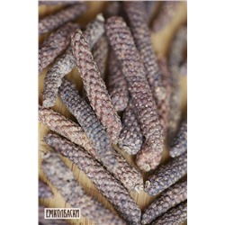 Перец Пиппали Лонгум (longum)