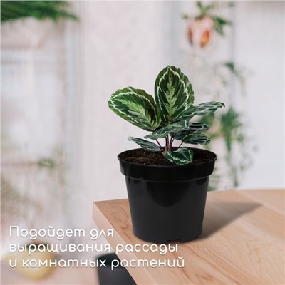 Горшок для рассады, 3 л, d=19 см, h=15 см, пластик, чёрный, Greengo