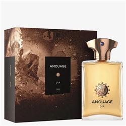 Amouage Dia Man edp for men 100 ml