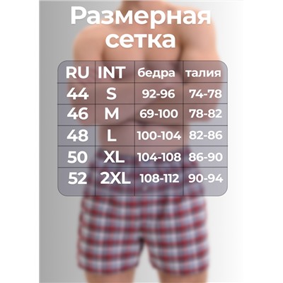 Мужские трусы семейные Berrak