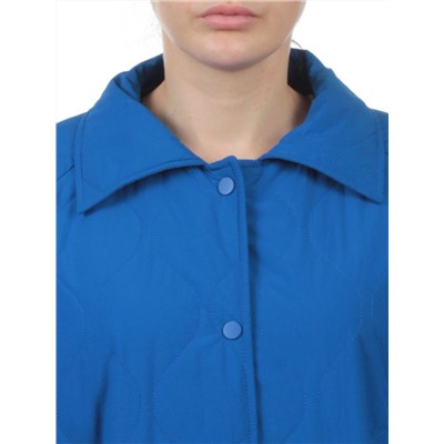 H24-213 BLUE Куртка демисезонная женская (100 гр. синтепон)