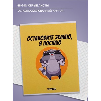 Тетрадь 48 листов в клетку Calligrata «Дерзкий енот», обложка мелованный картон, МИКС