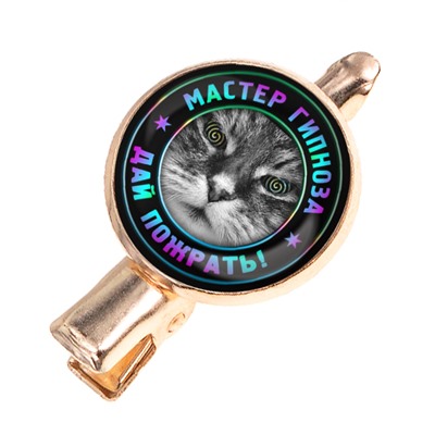 HZF-0358 Заколка Мастер гипноза
