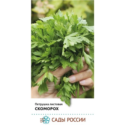 Семена Петрушка листовая Скоморох, арт.: 74363