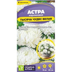 Семена Астра карликовая Тысяча чудес белая, арт.: 72660