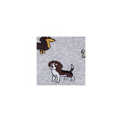 Носки женские 21С4200 158 Брестские Pets Conte [6шт] Дроп