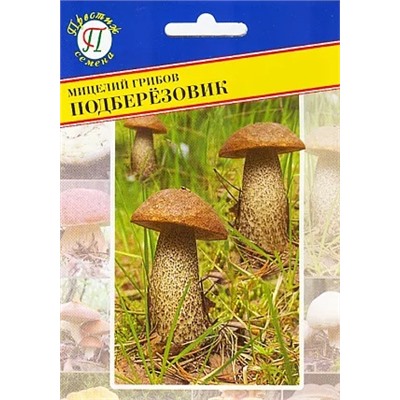 Мицелий грибов Подберёзовик, арт.: 1339