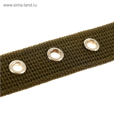 Ошейник брезентовый однослойный, 57×2.5 см, ОШ 35-45 см, хаки
