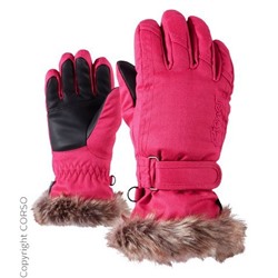 Skihandschuhe