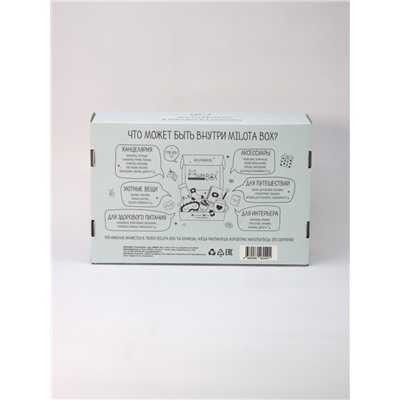 MilotaBox "School Box"