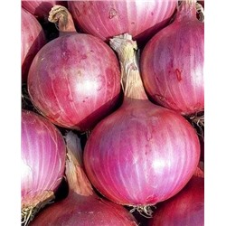 Лук севок Розанна, арт.: 70300